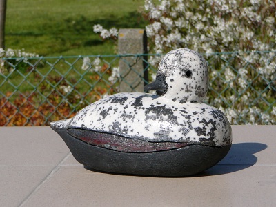 animal11