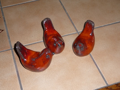 animal35